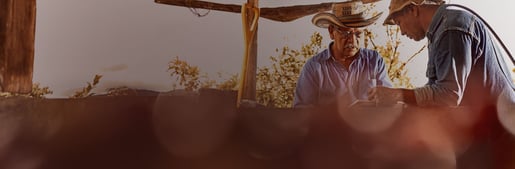 banner duurzaamheid v5